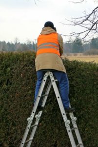 ladder for trimming high ladder